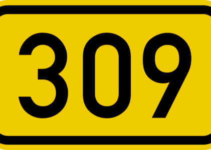 309’UNCU KELİME